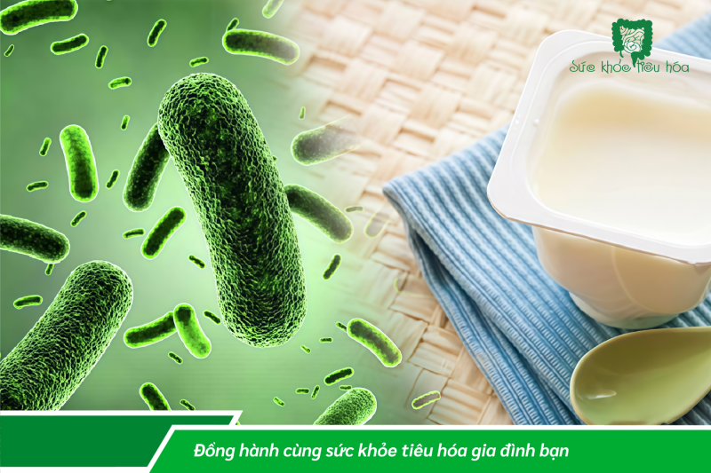 LỢI ÍCH KHI BỔ SUNG MEN VI SINH MỖI NGÀY