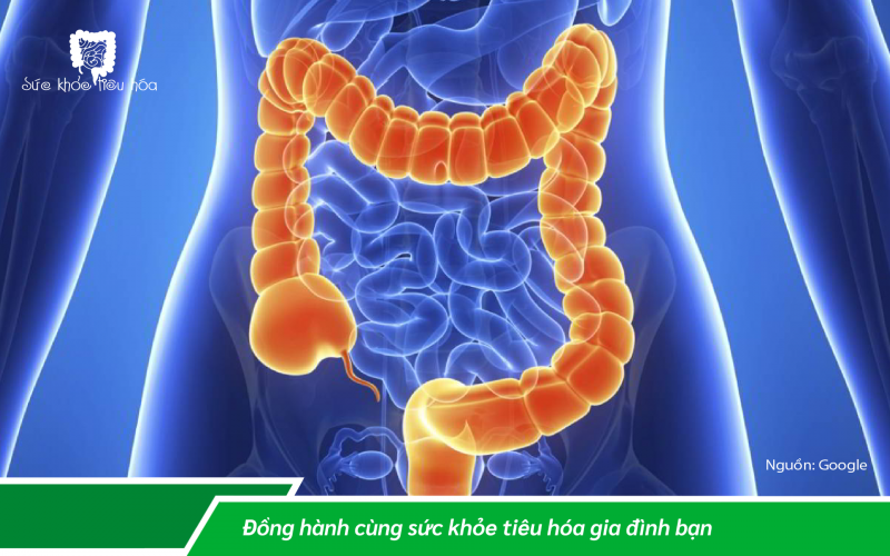 LỢI ÍCH SỨC KHỎE CỦA TINH BỘT KHÁNG