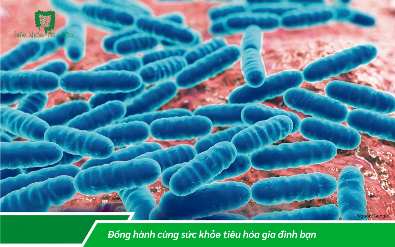 LỢI KHUẨN LACTOBACILLUS - VŨ KHÍ NGĂN NGỪA NHIỄM TRÙNG MÙA ĐÔNG