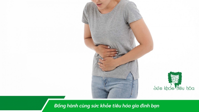 LỢI ÍCH CỦA LACTOBACILLUS PLANTARUM ĐỐI VỚI SỨC KHỎE