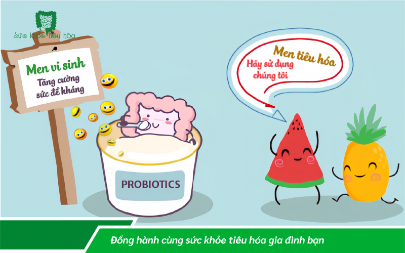 MÁCH BẠN-SỰ KHÁC BIỆT GIỮA MEN TIÊU HÓA VÀ MEN VI SINH