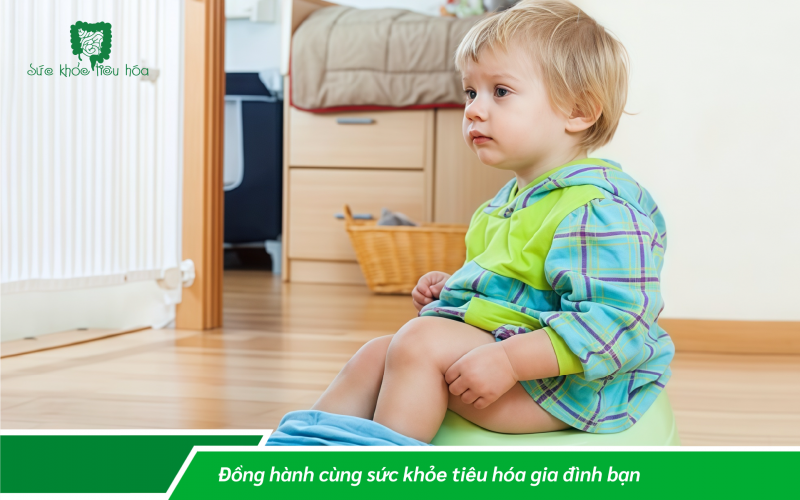 MÁCH BẠN-SỰ KHÁC BIỆT GIỮA MEN TIÊU HÓA VÀ MEN VI SINH