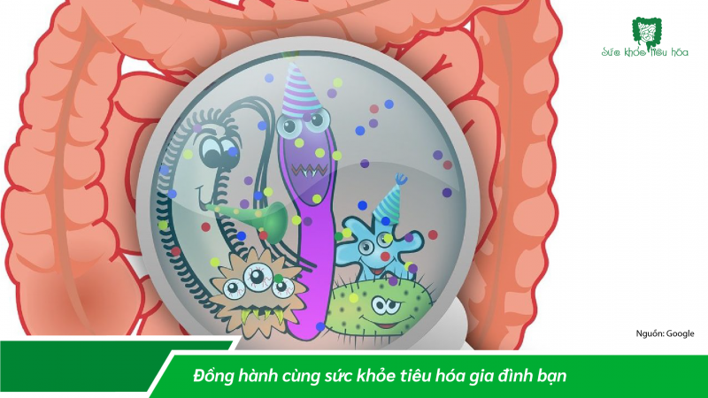 MẤT CÂN BẰNG HỆ VI SINH RUỘT & CÁC BỆNH LIÊN QUAN