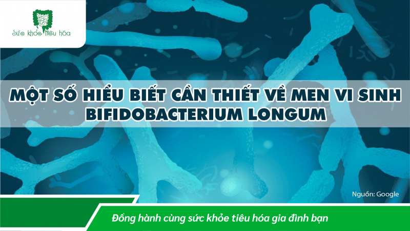 MỘT SỐ HIỂU BIẾT CẦN THIẾT VỀ MEN VI SINH  BIFIDOBACTERIUM LONGUM