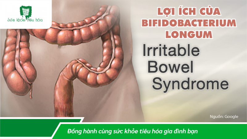 MỘT SỐ HIỂU BIẾT CẦN THIẾT VỀ MEN VI SINH  BIFIDOBACTERIUM LONGUM