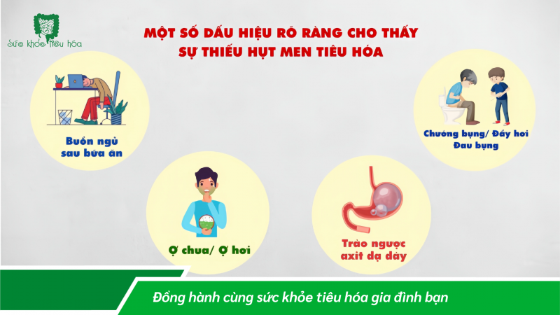 MEN TIÊU HÓA, GIẢI PHÁP TỰ NHIÊN ĐỂ TIÊU HÓA TỐT