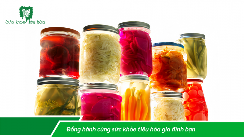 MEN TIÊU HÓA, MEN VI SINH PROBIOTICS, THỰC PHẨM LÊN MEN: VAI TRÒ & LỢI ÍCH ĐỐI VỚI SỨC KHỎE TIÊU HÓA