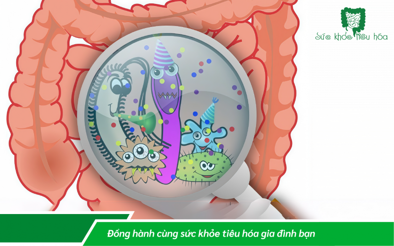 MEN VI SINH ẢNH HƯỞNG ĐẾN NÃO NHƯ THẾ NÀO & VAI TRÒ CỦA MEN VI SINH  ĐỐI VỚI CÁC BỆNH THẦN KINH