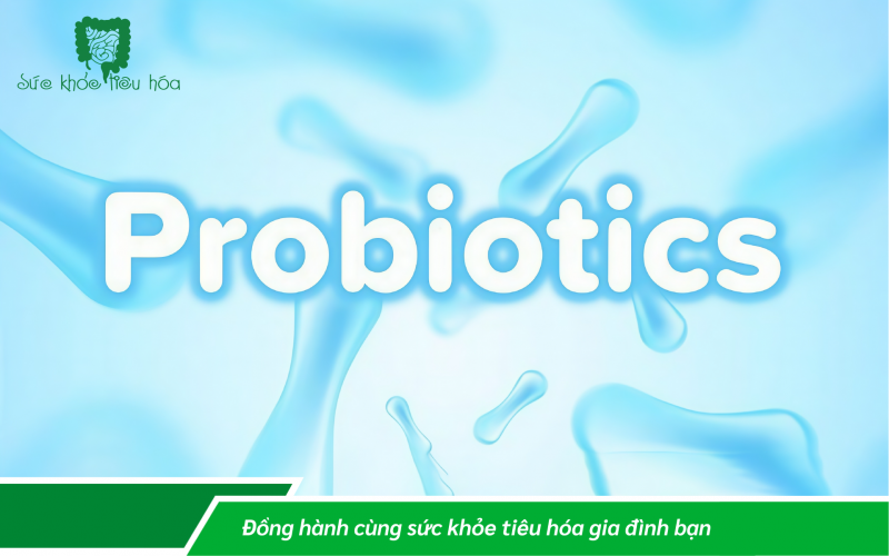 MEN VI SINH ẢNH HƯỞNG ĐẾN NÃO NHƯ THẾ NÀO & VAI TRÒ CỦA MEN VI SINH  ĐỐI VỚI CÁC BỆNH THẦN KINH