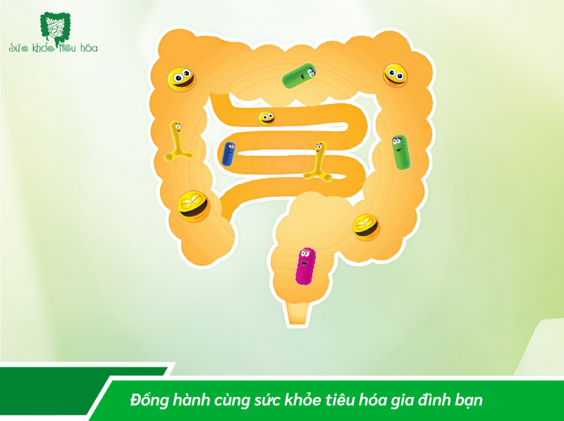 MEN VI SINH DÙNG ĐÚNG VÀ ĐỦ CHO HIỆU QUẢ HẤP THU TỐT 