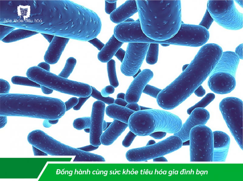 MEN VI SINH DÙNG ĐÚNG VÀ ĐỦ CHO HIỆU QUẢ HẤP THU TỐT 