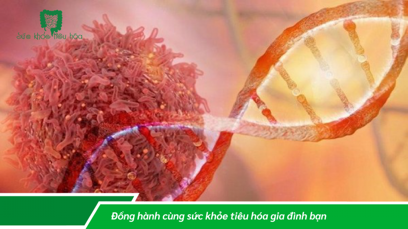 MEN VI SINH GIẢM NGUY CƠ UNG THƯ