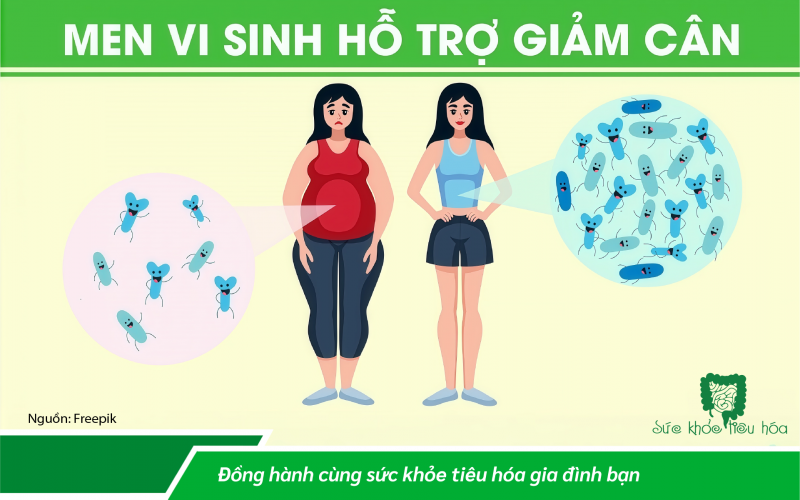 MEN VI SINH HỖ TRỢ GIÚP GIẢM CÂN