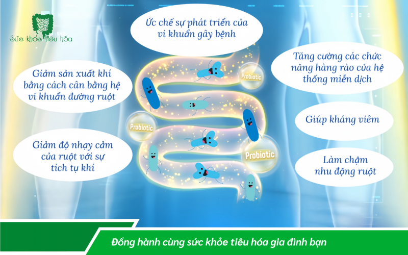 MEN VI SINH PROBIOTICS CHỐNG LẠI RỐI LOẠN TIÊU HÓA DO KÍCH THÍCH RUỘT SAU TẾT