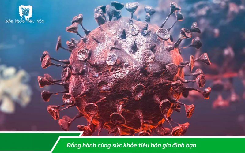 MEN VI SINH PROBIOTICS TĂNG SỨC ĐỀ KHÁNG CƠ THỂ PHÒNG NGỪA LÂY NHIỄM COVID -19