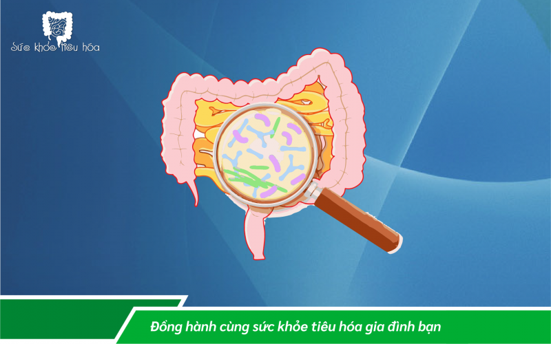 MEN VI SINH PROBIOTICS TĂNG SỨC ĐỀ KHÁNG CƠ THỂ PHÒNG NGỪA LÂY NHIỄM COVID -19