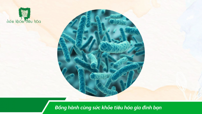 MEN VI SINH THUẦN CHỦNG LA-5TM