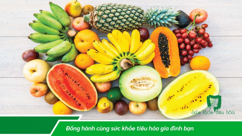 MEN TIÊU HÓA NGUỒN THỰC VẬT BẢO ĐẢM TỐT CHO TIÊU HÓA