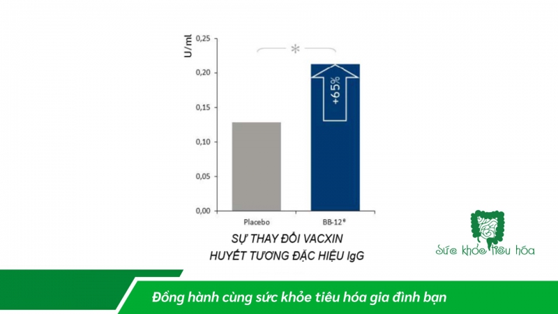 MEN VI SINH BB-12 GIÚP TĂNG SỨC ĐỀ KHÁNG NHƯ THẾ NÀO?