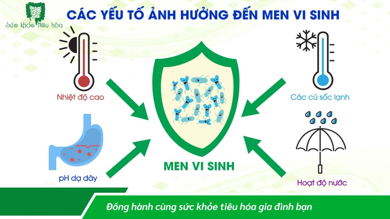 MEN VI SINH CÔNG NGHỆ CAO ĐẢM BẢO HÀM LƯỢNG LỢI KHUẨN BỔ SUNG TỐI ƯU 