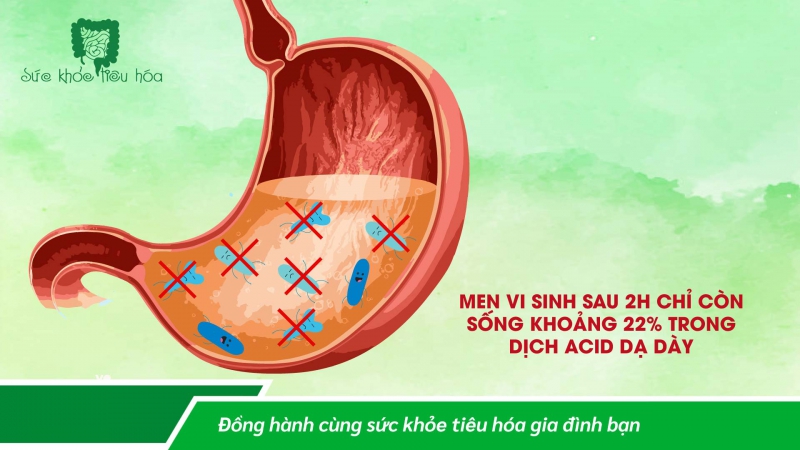 MEN VI SINH CÔNG NGHỆ CAO ĐẢM BẢO HÀM LƯỢNG LỢI KHUẨN BỔ SUNG TỐI ƯU 