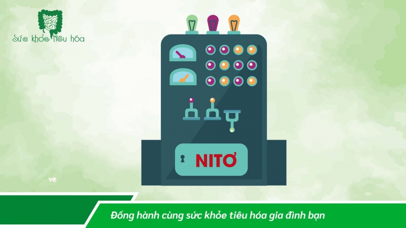 MEN VI SINH CÔNG NGHỆ CAO ĐẢM BẢO HÀM LƯỢNG LỢI KHUẨN BỔ SUNG TỐI ƯU 