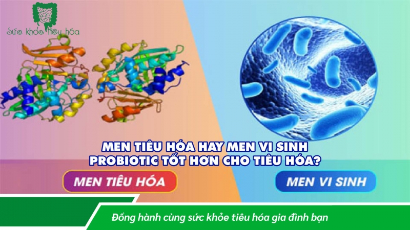 MEN VI SINH PROBIOTICS & MEN TIÊU HÓA