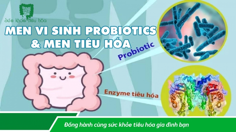 MEN VI SINH PROBIOTICS & MEN TIÊU HÓA