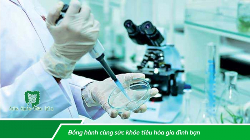  Men vi sinh giúp hạn chế tiêu chảy khi đi du lịch