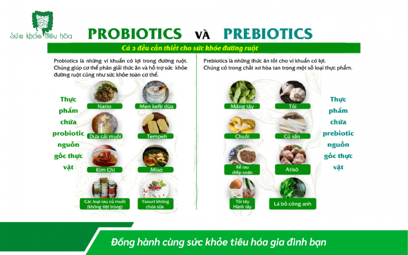 Microbiome: Hướng đi mới về chăm sóc sức khỏe