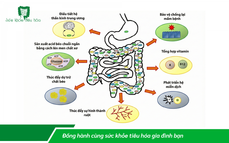 Microbiome: Hướng đi mới về chăm sóc sức khỏe