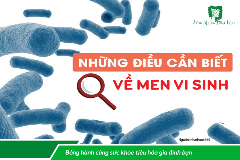 NÊN UỐNG MEN VI SINH SAU KHI DÙNG KHÁNG SINH DÀI NGÀY?