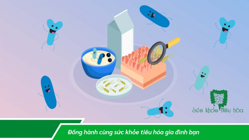 NÊN DÙNG MEN VI SINH THẾ NÀO LÀ ĐỦ?