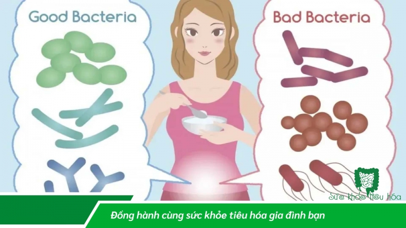 NÊN DÙNG MEN VI SINH THẾ NÀO LÀ ĐỦ?