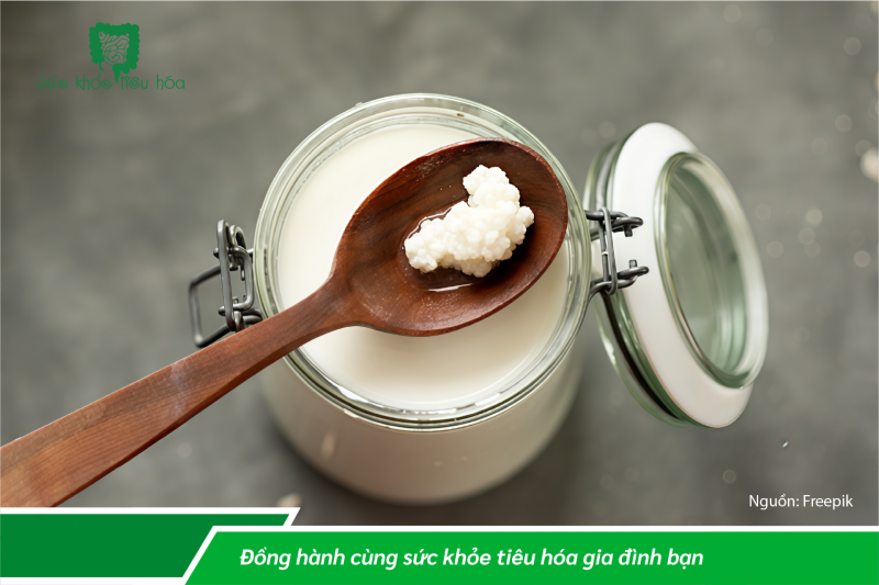 NHỮNG THỰC PHẨM GIÀU MEN VI SINH CÓ LỢI CHO TIÊU HÓA