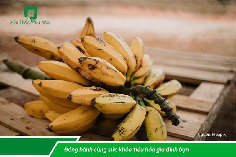 NHỮNG THỰC PHẨM GIÀU MEN VI SINH CÓ LỢI CHO TIÊU HÓA