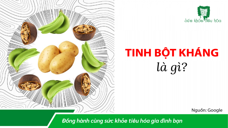 NHỮNG HIỂU BIẾT VỀ TINH BỘT KHÁNG