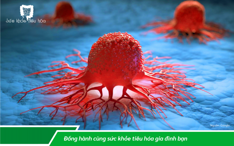 NHỮNG TÁC ĐỘNG CỦA MEN VI SINH PROBIOTICS LÊN HỆ MIỄN DỊCH GIÚP CHÚNG TA CHỐNG NHIỄM TRÙNG