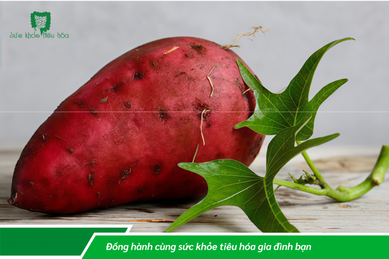 ​NHỮNG THỰC PHẨM TRỊ TÁO BÓN CHO BÀ BẦU