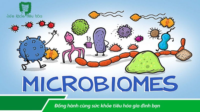 NHỮNG LỜI KHUYÊN ĐỂ CÓ MỘT HỆ VI SINH RUỘT KHỎE MẠNH CHO BỆNH TIỂU ĐƯỜNG LOẠI 2