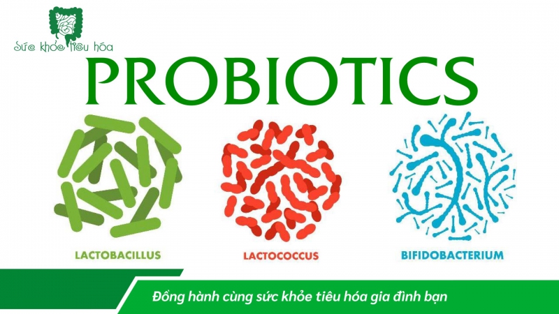 NHỮNG LỜI KHUYÊN ĐỂ CÓ MỘT HỆ VI SINH RUỘT KHỎE MẠNH CHO BỆNH TIỂU ĐƯỜNG LOẠI 2