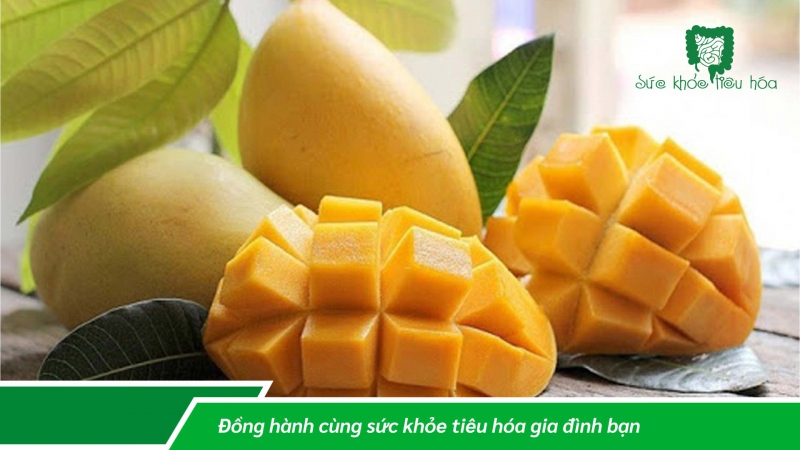 NHỮNG TRÁI CÂY THÔNG DỤNG TRONG NƯỚC CHỨA MEN TIÊU HÓA TỰ NHIÊN