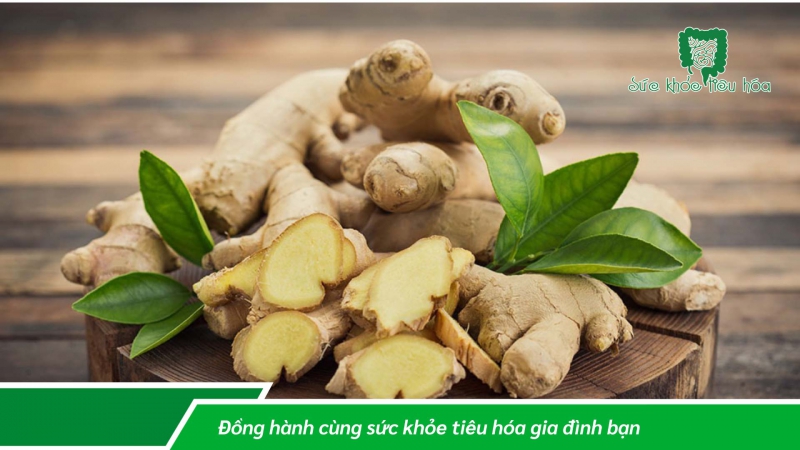 NHỮNG TRÁI CÂY THÔNG DỤNG TRONG NƯỚC CHỨA MEN TIÊU HÓA TỰ NHIÊN