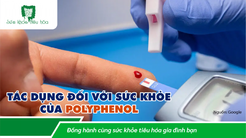 POLYPHENOL CÓ ĐỦ ĐIỀU KIỆN LÀ PREBIOTIC KHÔNG?