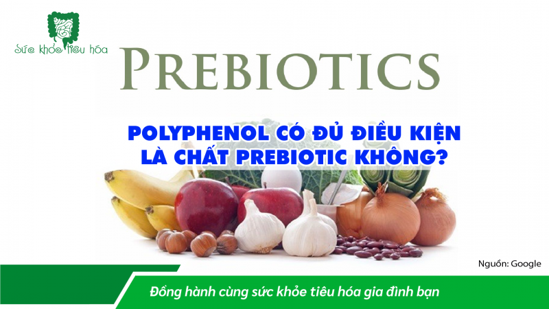 POLYPHENOL CÓ ĐỦ ĐIỀU KIỆN LÀ PREBIOTIC KHÔNG?
