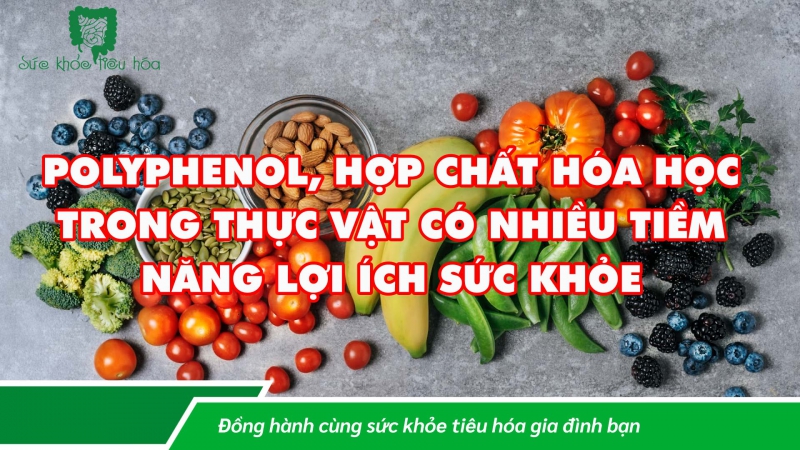 POLYPHENOL, HỢP CHẤT HÓA HỌC TRONG THỰC VẬT CÓ NHIỀU TIỀM NĂNG LỢI ÍCH SỨC KHỎE