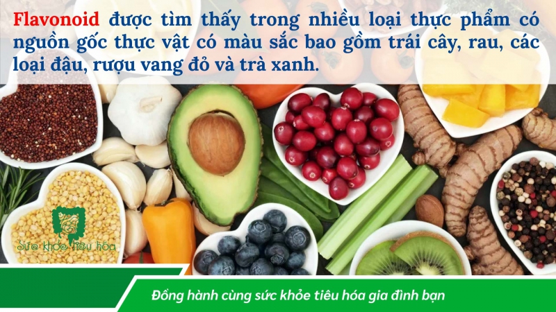 POLYPHENOL, HỢP CHẤT HÓA HỌC TRONG THỰC VẬT CÓ NHIỀU TIỀM NĂNG LỢI ÍCH SỨC KHỎE