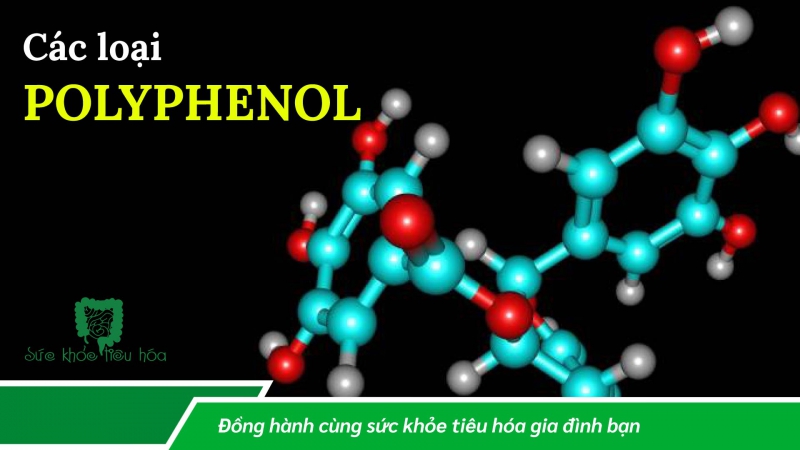 POLYPHENOL, HỢP CHẤT HÓA HỌC TRONG THỰC VẬT CÓ NHIỀU TIỀM NĂNG LỢI ÍCH SỨC KHỎE