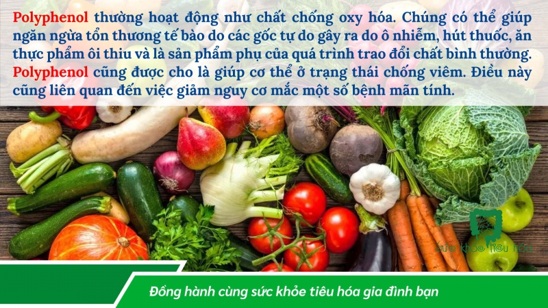 POLYPHENOL, HỢP CHẤT HÓA HỌC TRONG THỰC VẬT CÓ NHIỀU TIỀM NĂNG LỢI ÍCH SỨC KHỎE