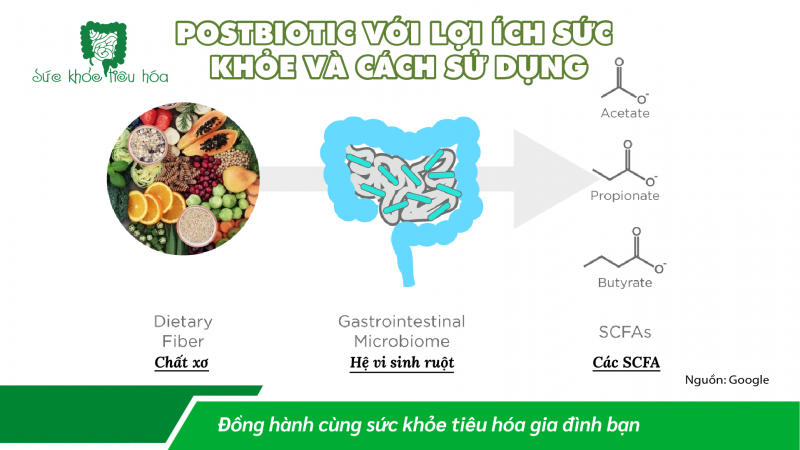 POSTBIOTIC VỚI LỢI ÍCH SỨC KHỎE VÀ CÁCH SỬ DỤNG